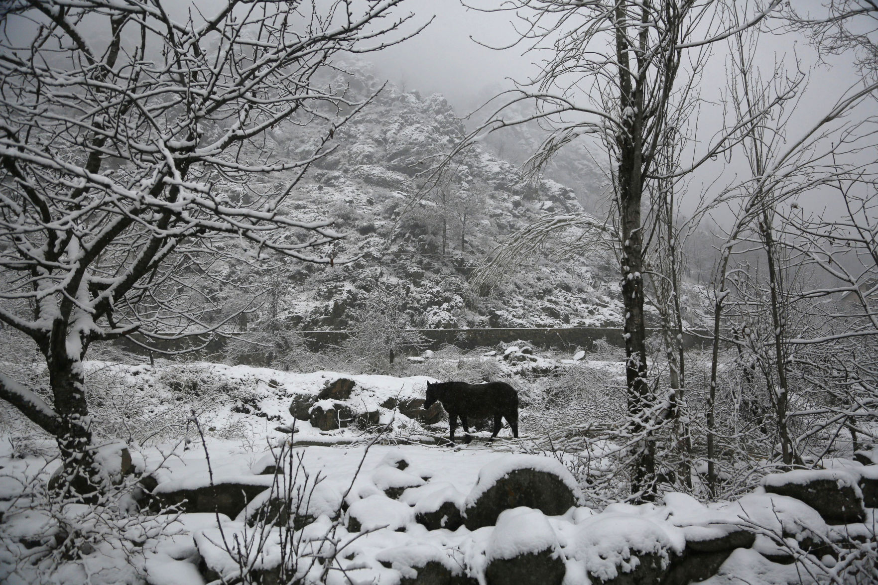 APTOPIX India Kashmir Weather